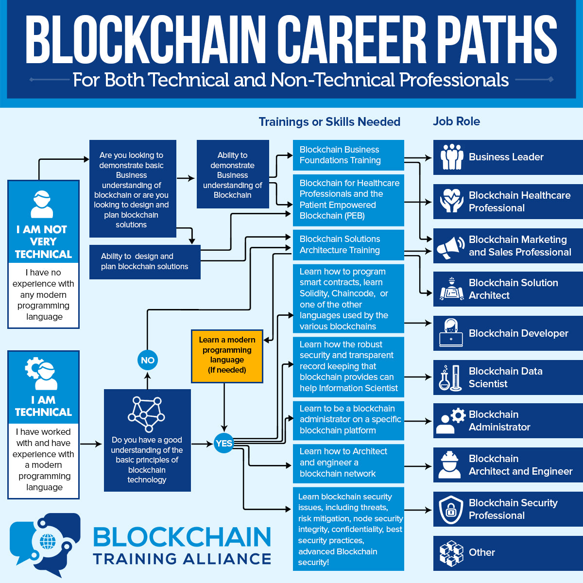 Blockchain Career Paths